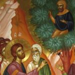 15th Sunday of Luke, Zacchaeus Sunday