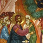 15th Sunday of Luke, Zacchaeus Sunday