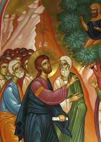 15th Sunday of Luke, Zacchaeus Sunday