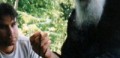 Sayings of Saint Paisios