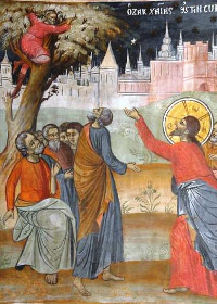 Sunday of Zacchaeus (Luke 19: 1-10)