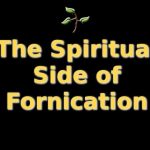 Elder Efraim of Arizona-The terrible passion of fornication
